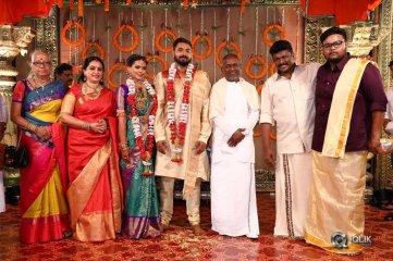 Parthiban and Seetha Daughter Keerthana Wedding Photos